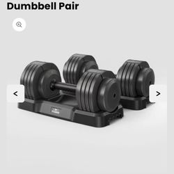 FLYBIRD Dumbells And Workout Bench