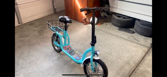 Campus Flex Custom E Scooter