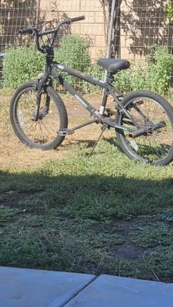 20 in bike