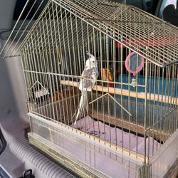 Bird Cage With Seed Protector 