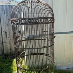 Birdcage 