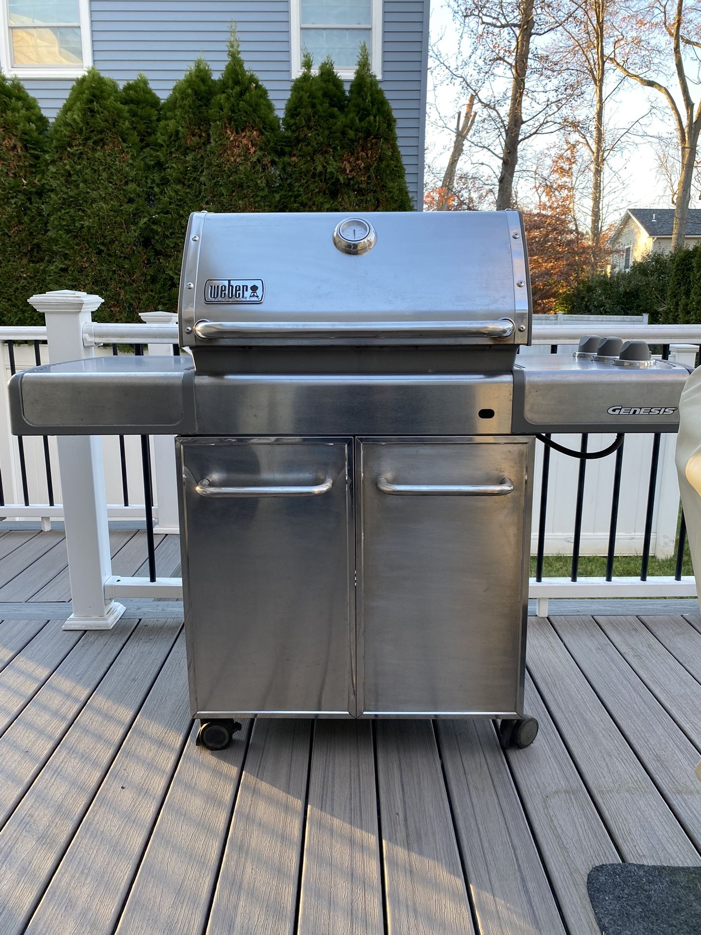 Weber Genesis II Grill