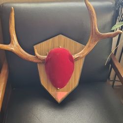 Antlers