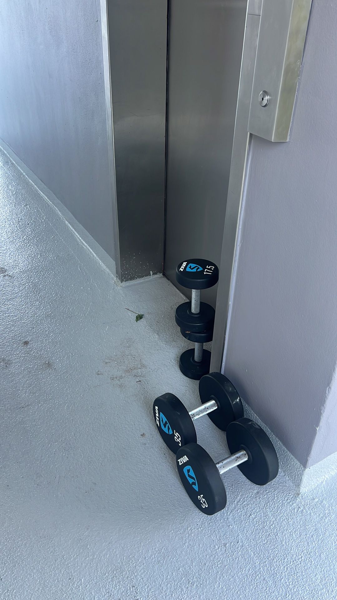 DumbBells For Sale