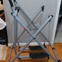 Gazelle Edge Full Body Workout