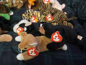 Beanie babies
