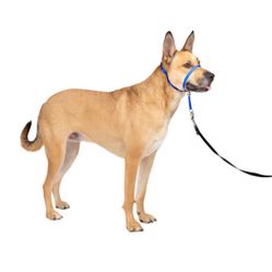 PetSafe Gentle Leader Dog Headcollar