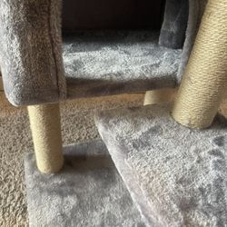 Cat Tree Tower