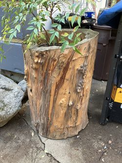 Natural Wood Real Deal Planter For Garden Or Porch