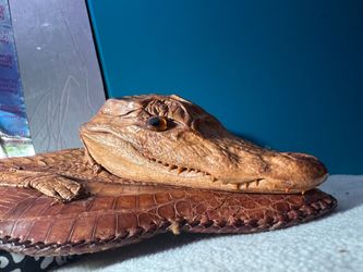 Vintage Genuine Crocodile/Alligator Leather Purse – Full Head & Feet Novelty Handbag