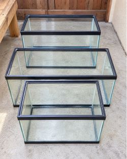 Moving Sale – 3 Fish Tanks + Aquarium Accessories – Bundle Deal