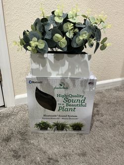 Plant Bluetooth 
