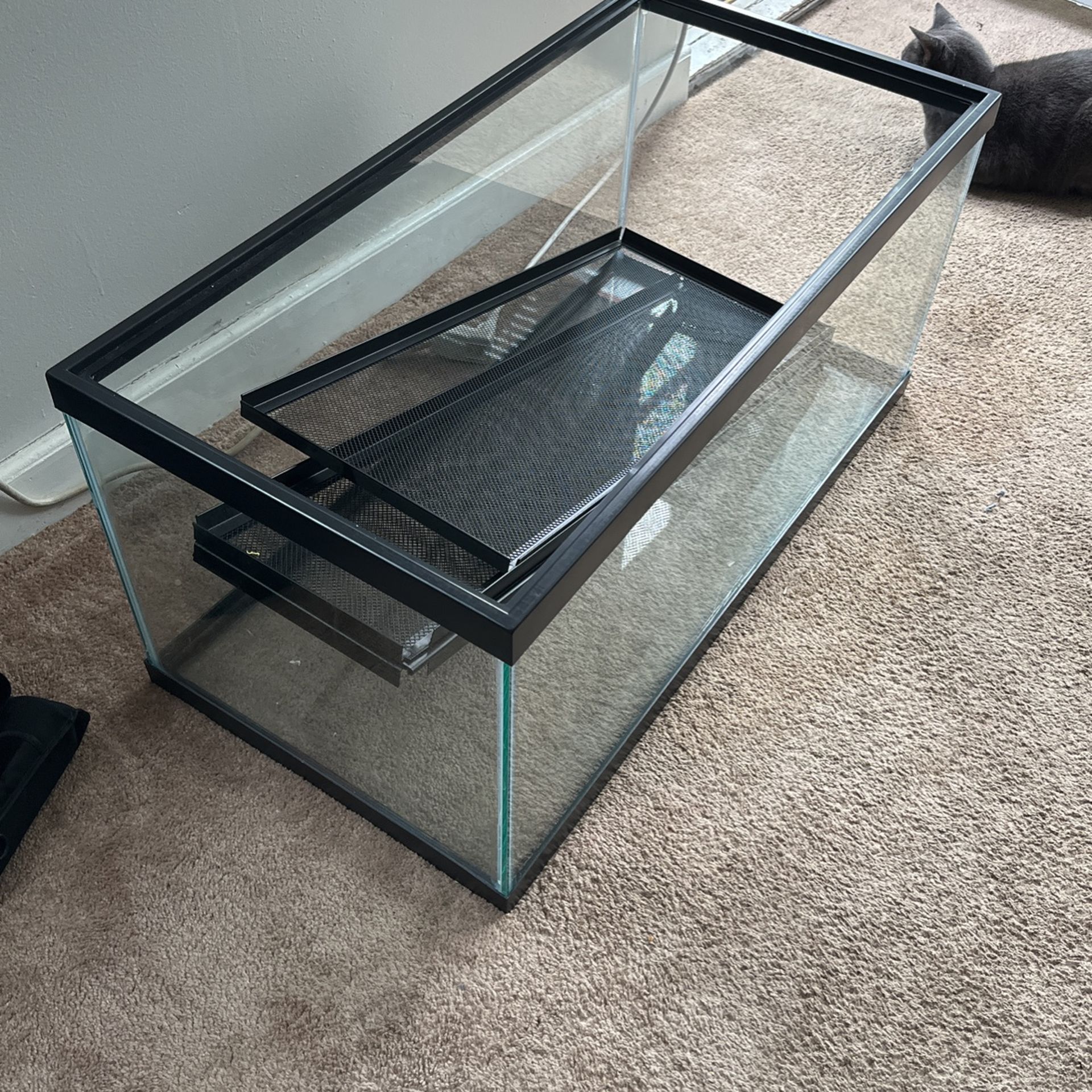 40 Gallon Breeder Tank