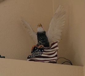 Native American Indian 