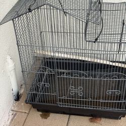 Bird Cage