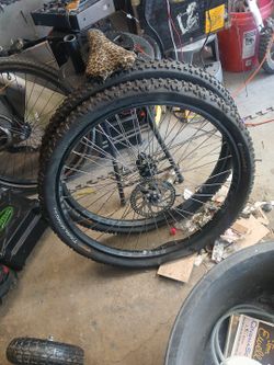 WTB 29 Inch Rims With  Carbonfiber Hubs