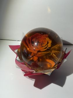 Multiple Different Styles Colors Ross/flower Globes 