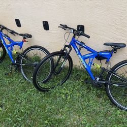 2 Bikes 