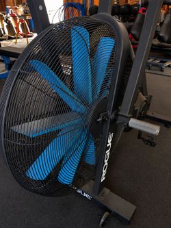 Rogue echo bike blue blades