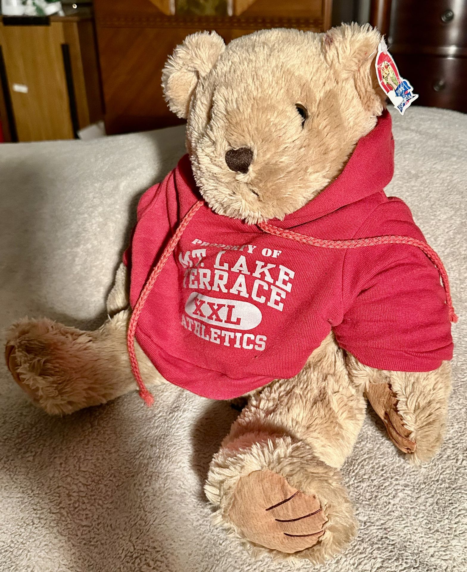 *Bear wearing red hoodie printed w/ "Property of "Mt. Lake Terrace," XXL Athletics". 16” Tan, sitting plush