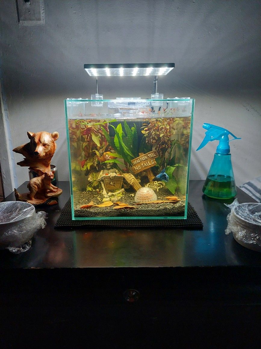 Aquarium