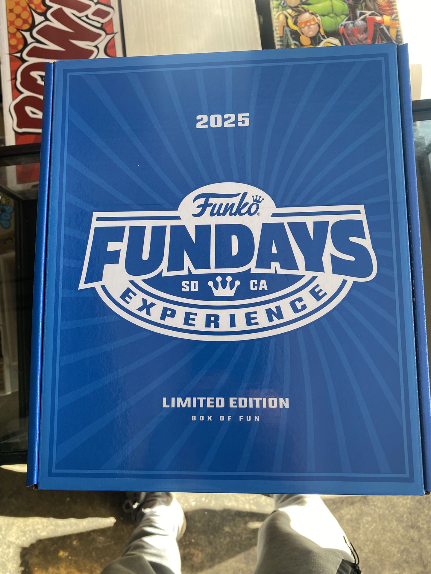 Funko Fundays 2025 Limited Edition Box of Fun includes 4 Limited Edition Pops!