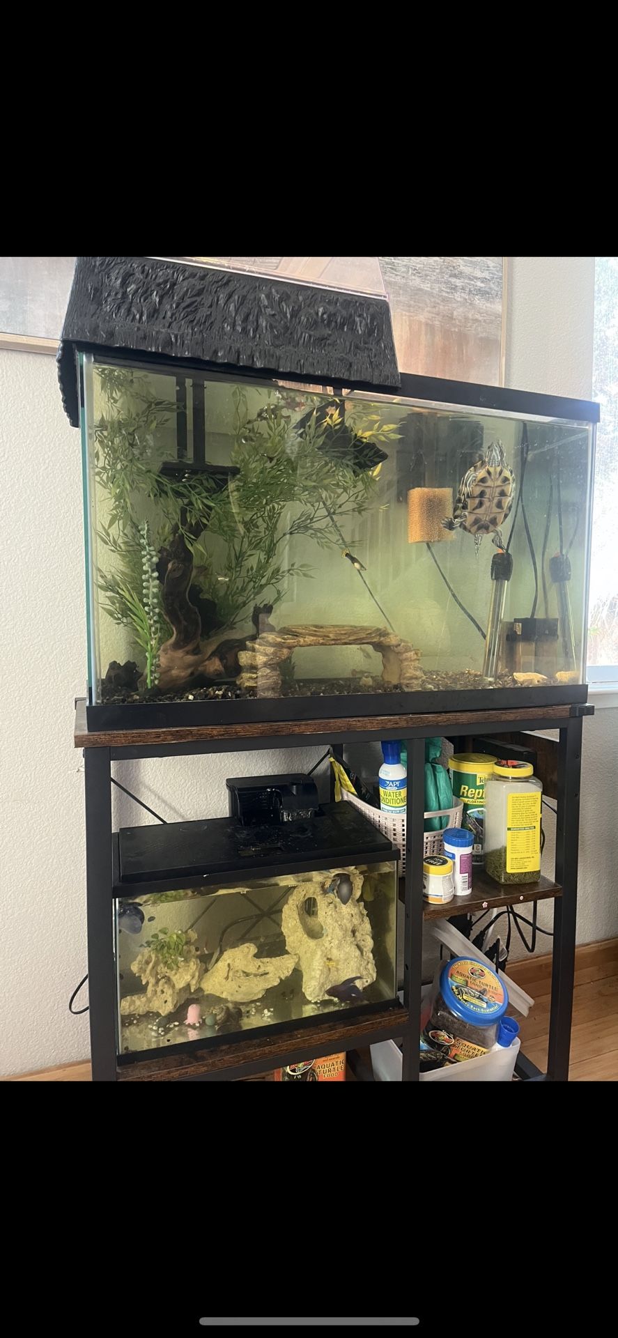 50 Gallon Tank With Stand + Turtle Basking 