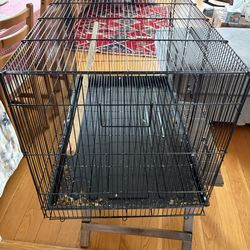Large bird cage
