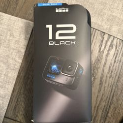 GoPro Hero 12 With Extras 