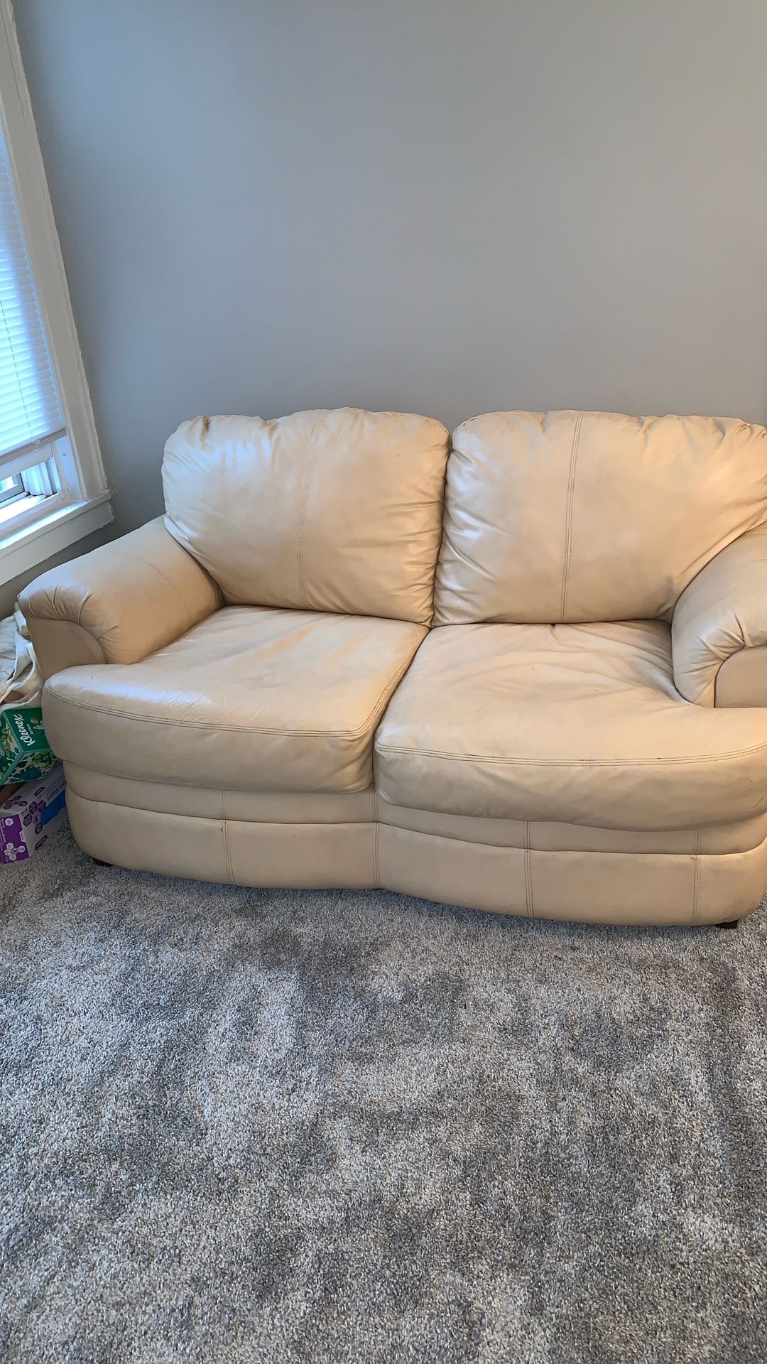 Leather Couch