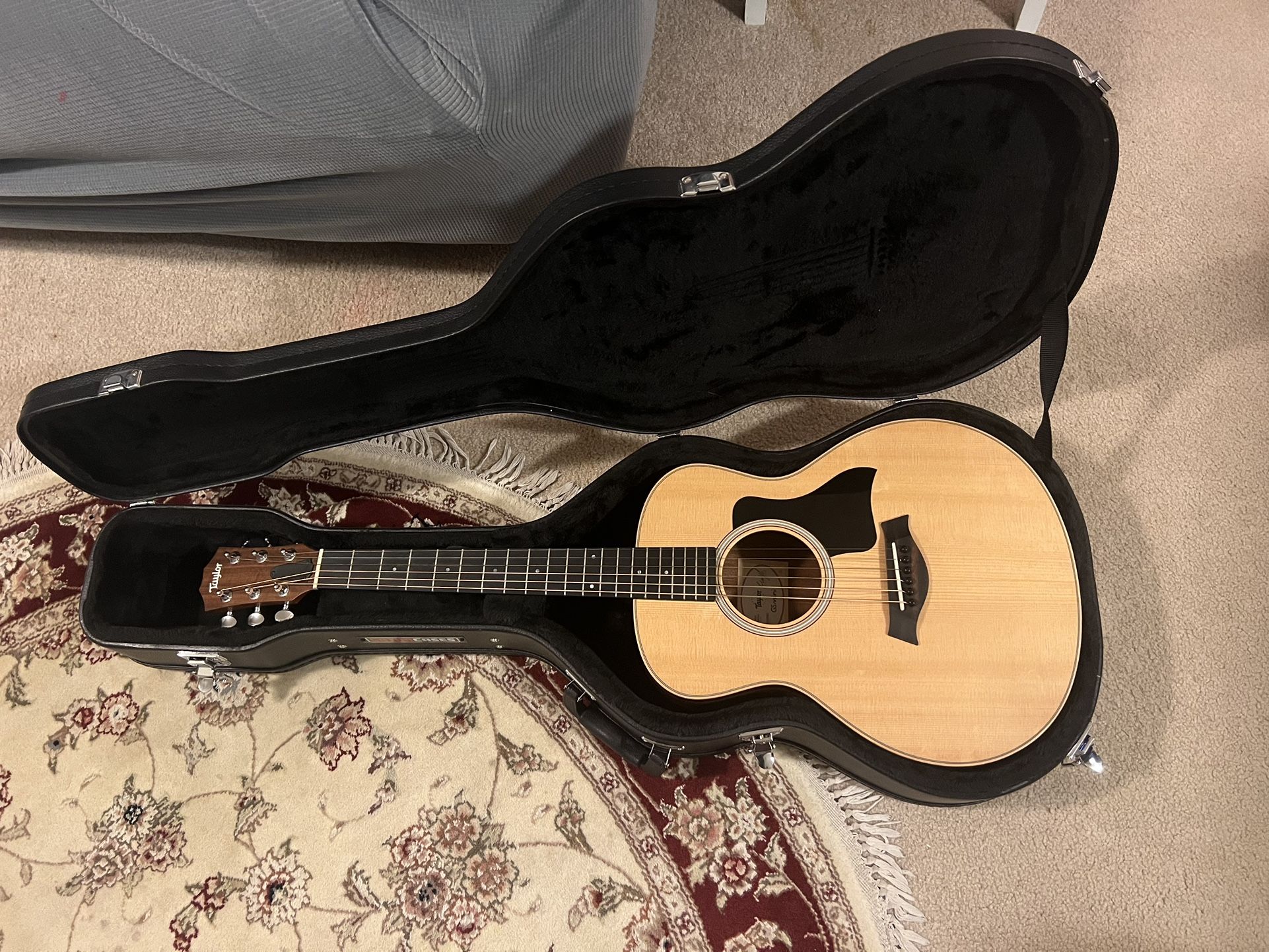Taylor GS Mini with Hard Case