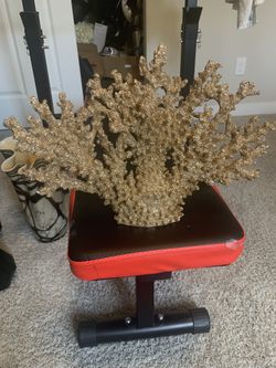 Home Decor Items