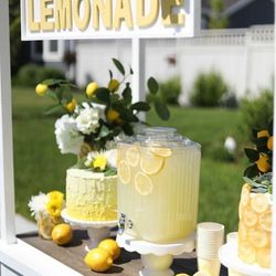 Lemonade Stand 