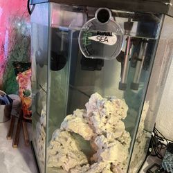 20 Gal Fish Tank Salt Water With Everything