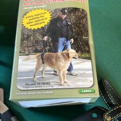 Dog Stuff.  