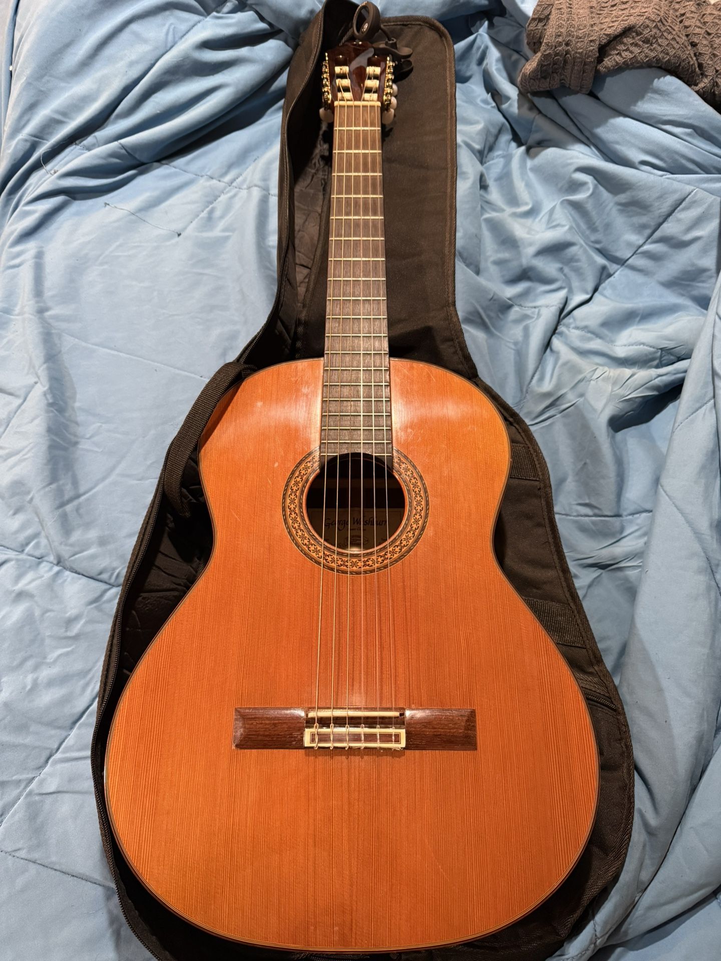 George Washburn Guitar