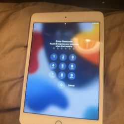 iPad mini 4th gen 128 GB