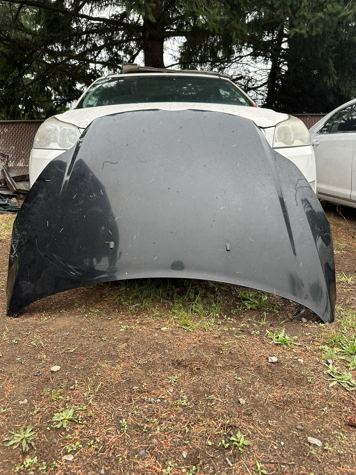 2012-2018 Ford Focus Hood And Headlights