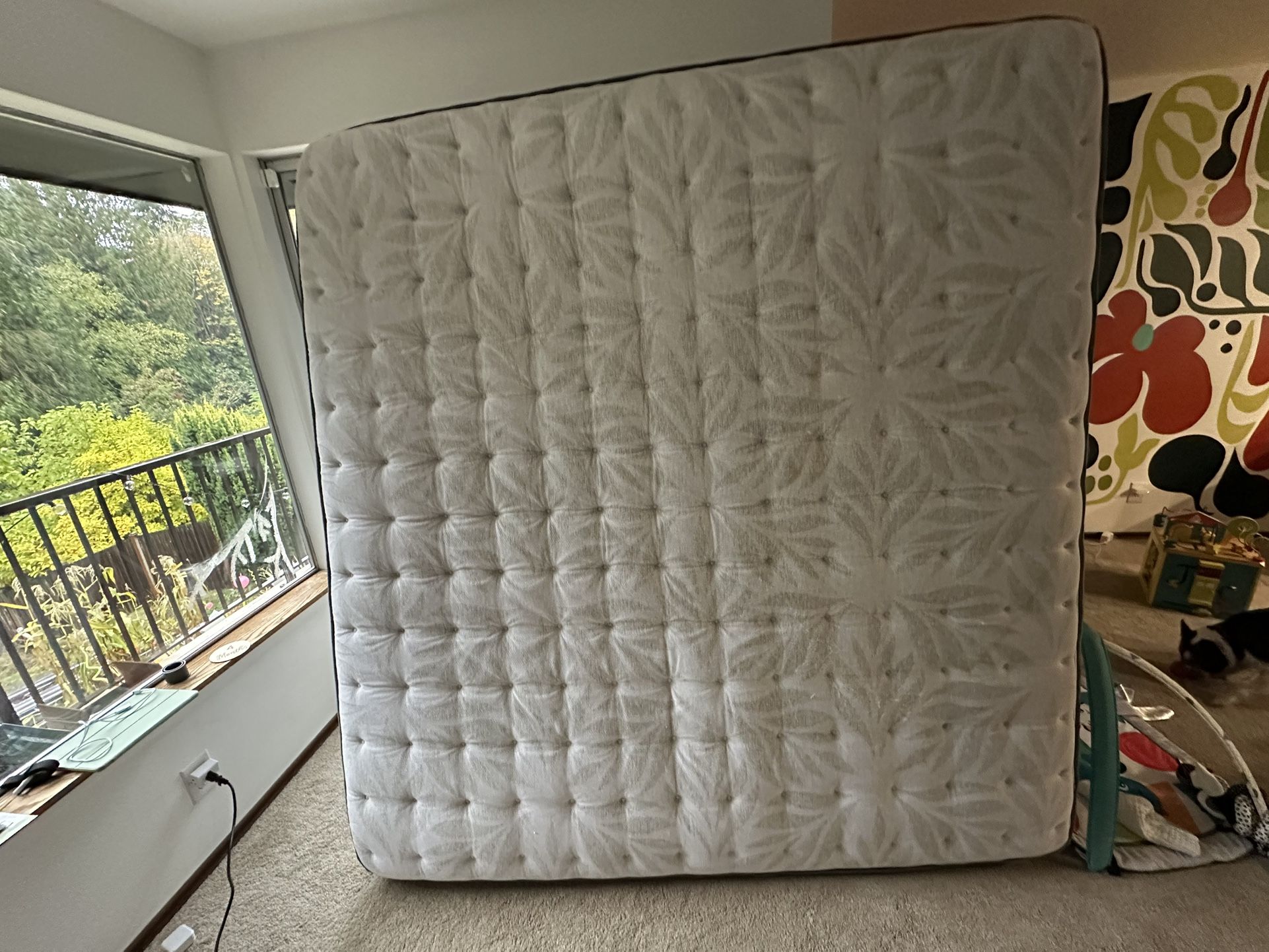 King Mattress Medium Firm 1 Year Old