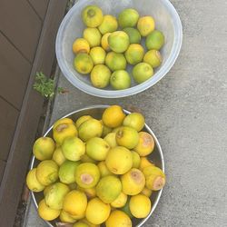 💯 organic seedless food taste lemons