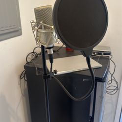 Mxl 990 Mic