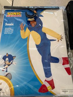 Sonic Costume