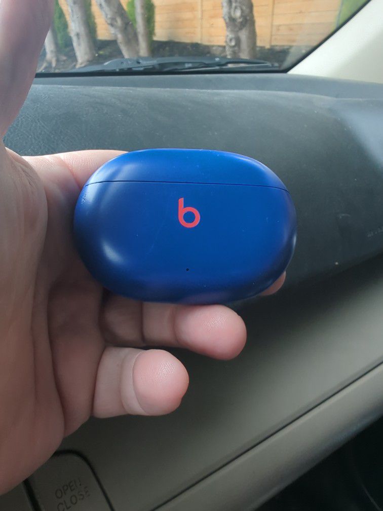 Beats Earbuds Charging Case