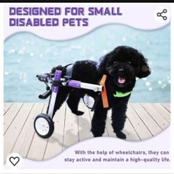 New Adjustable Dog Wheelchair for Back Legs，Pet/Doggie Doggy Wheelchairs with Disabled Hind Legs Walking (S-B) 
