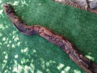 Driftwood For Aquariums Terrariums Decor