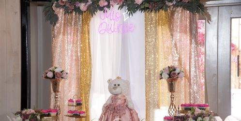 Wedding Quince Birthday Decorations 