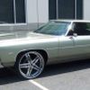Impala man 
