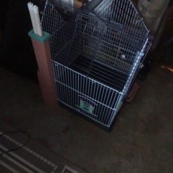 Bird Cage 