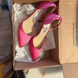 Ladies 9.5 Pink High Heels