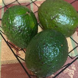 Avocados 